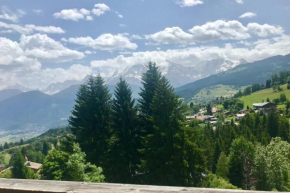 BRIGHT 45 m with VIEW of the Mont-Blanc ans POOL